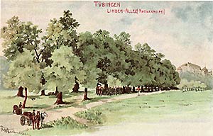 Lindenallee auf dem Oberen Wöhrd vor 1905 - Gemälde von Reinhold Julius Hartmann.jpg
