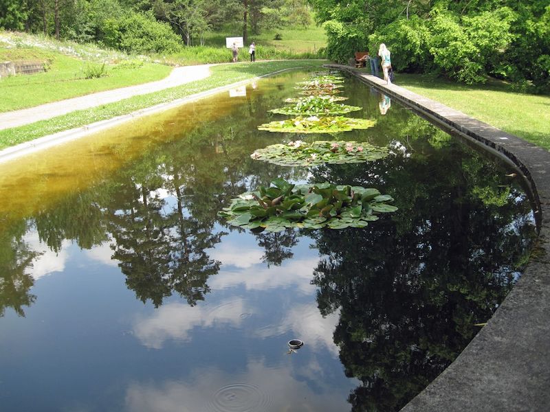 Datei:Botanischer Garten Seerosen-Teich.jpg