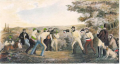 Studentisches Hiebfechten um 1831.png