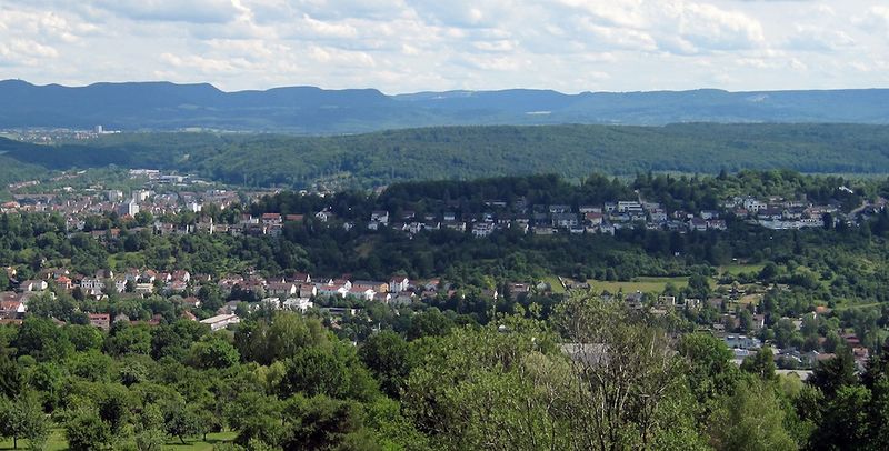 Datei:Blick vom Steinenbergturm zum Burgholz und Spitzberg.jpg