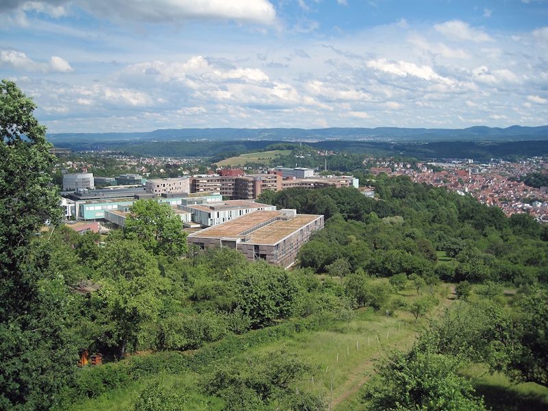 Datei:Blick vom Steinenbergturm Panorama 1.jpg