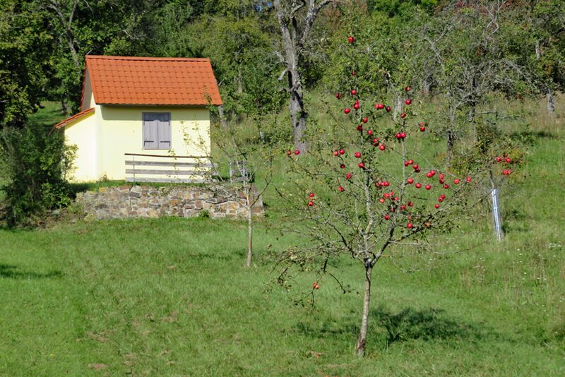 Datei:Zwehrenbühl Hütte und Äpfel.jpg
