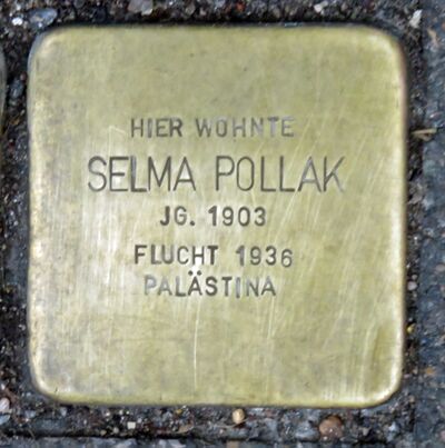 Keplerstraße 5, Stolperstein Selma Pollak.jpg