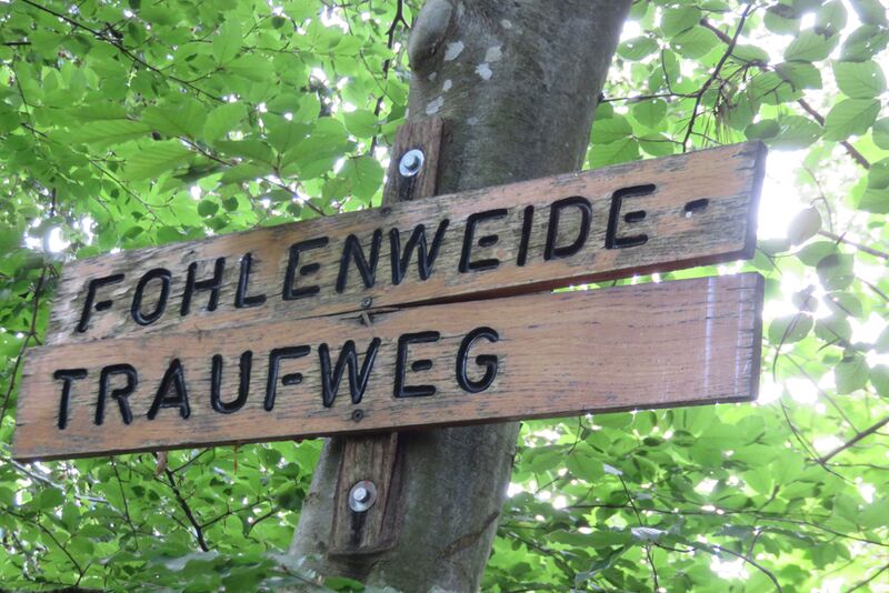 Datei:Fohlenweide-Traufweg, 1.jpg