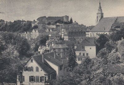 Tübingen, Blick vom Österberg auf Stiftskirche und Schloss.JPG