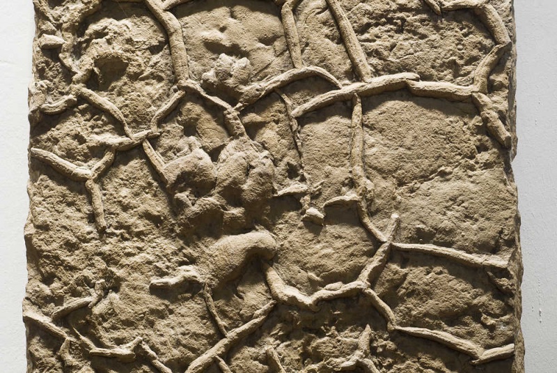 Datei:Palaeontologie 08.jpg