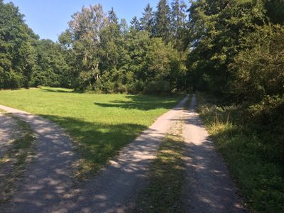 Kirnbach-Weg 2015-08-23.jpg