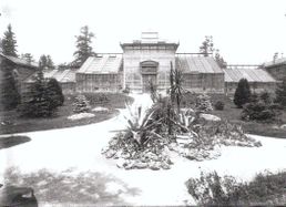 Palmenhaus im Alten Botanischen Garten, erbaut 1886