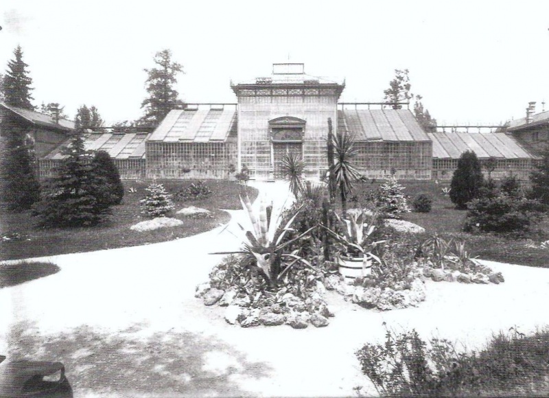 Datei:Palmenhaus im Alten Botanischen Garten erbaut 1886.jpg