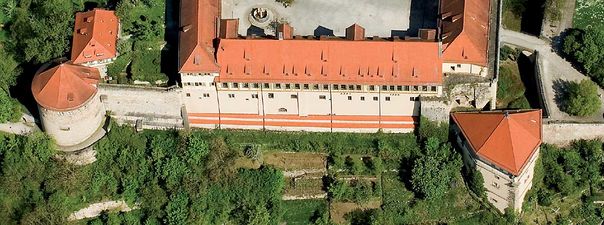 Die Südseite des Schlosses aus der Luft, links der Haspelturm, rechts der Fünfeckturm (2009)