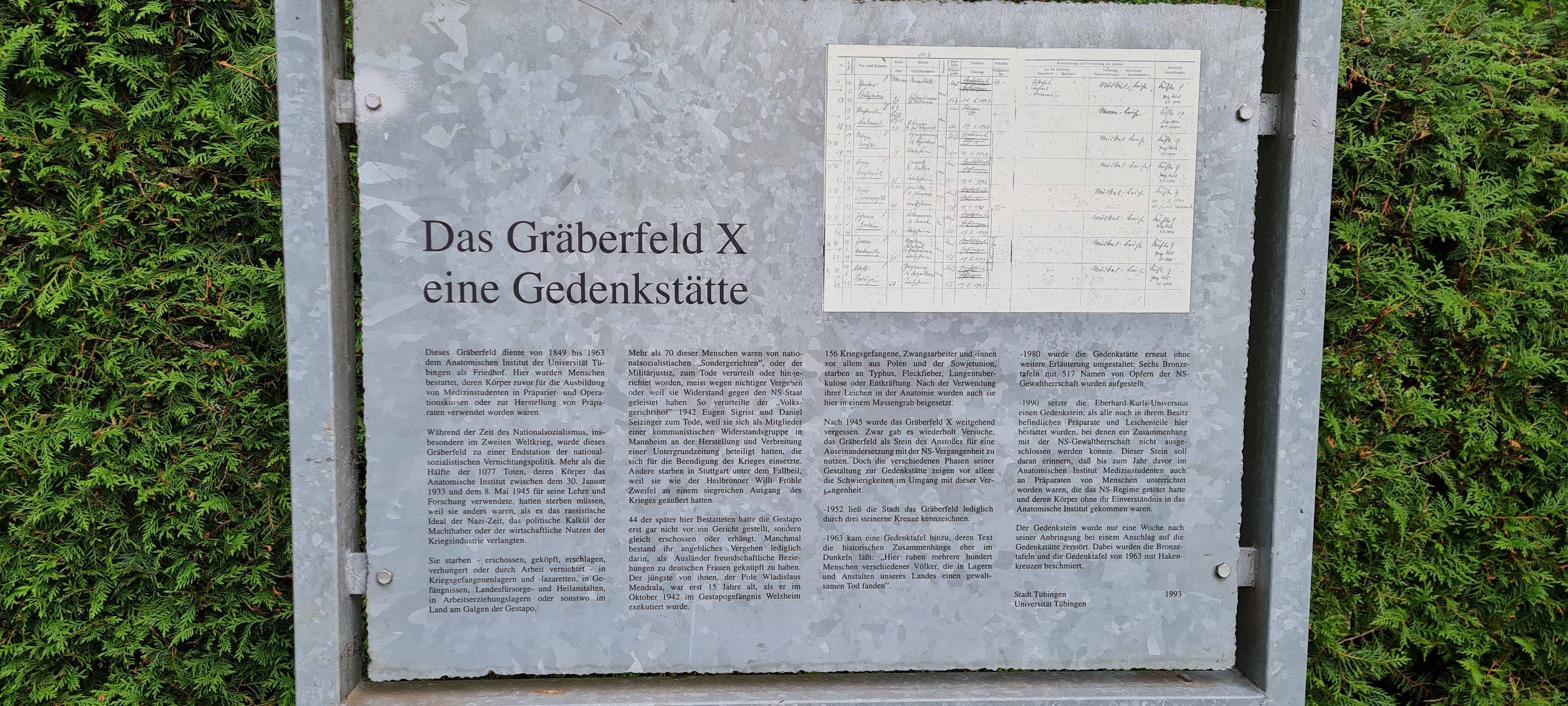 Infotafel zur Gedenkstätte Gräberfeld X