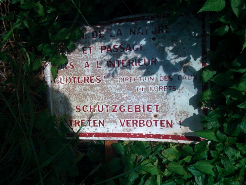 Datei:Schild-Naturschutz-Hindenburgkaserne.jpg