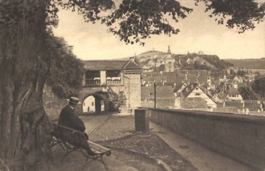 Datei:Schlosslinde auf alter Postkarte.jpg