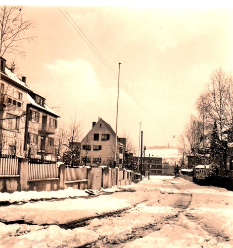 Datei:Hallstattstraße im Winter.jpg