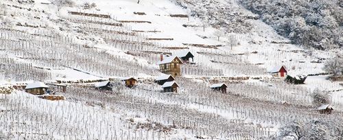Verschneite Weinberge über Unterjesingen - Foto: Gerhard Groebe