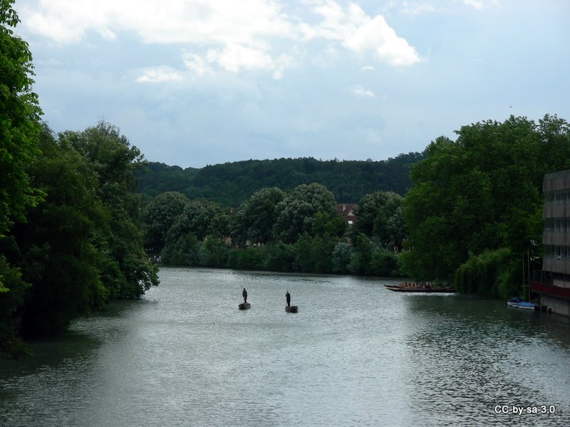 Datei:Neckar 2009.JPG