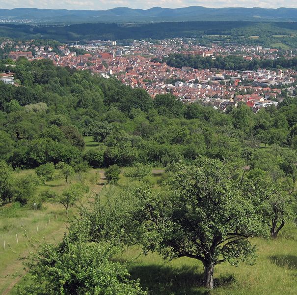 Datei:Blick vom Steinenbergturm Panorama 2a.jpg