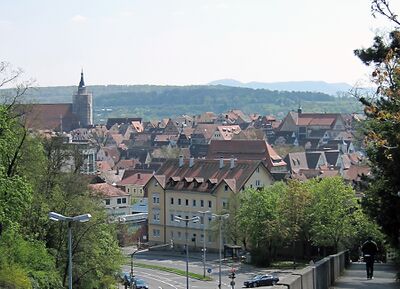 Altstadt, vom Frondsberg, 1.jpg