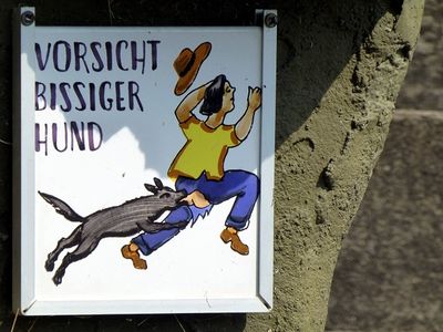 Bissiger Hund im Käsenbachtal.jpg