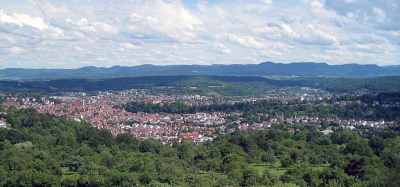 Datei:Blick vom Steinenbergturm Panorama.jpg