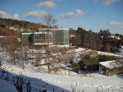 Botanischer Garten im Winter-2.jpg
