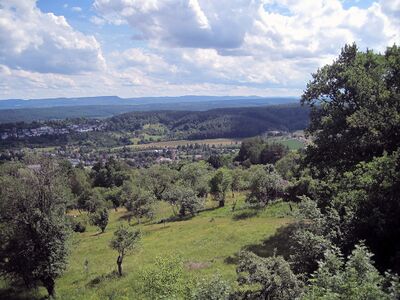 Blick vom Steinenbergturm zum Hohenzollern.jpg