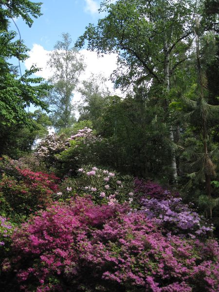 Datei:Botanischer Garten vor Felsengarten.jpg