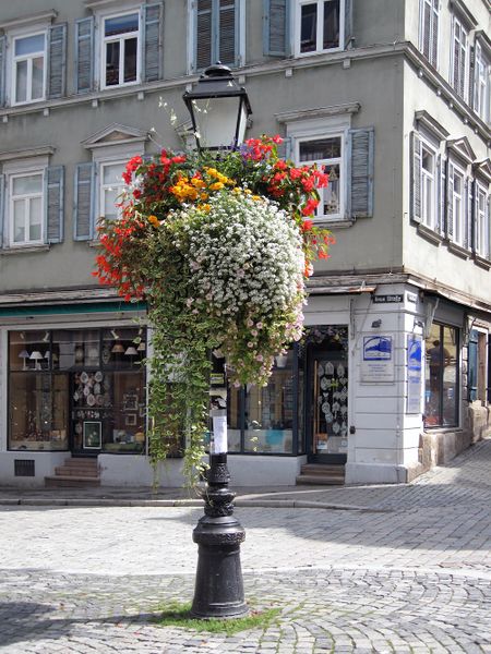Datei:Holzmarkt Blumenschmuck 34.jpg