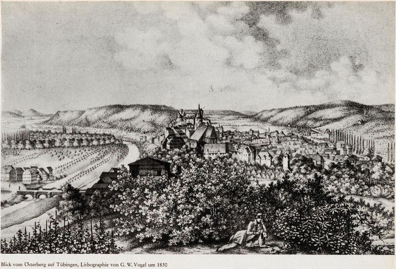 Datei:Blick vom Österberg auf Tübingen, Lithographie von G. W. Vogel um 1830.jpg