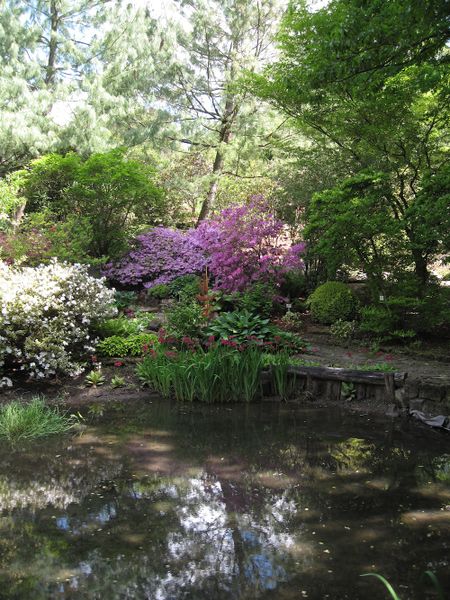 Datei:Botanischer Garten Teich-2.jpg