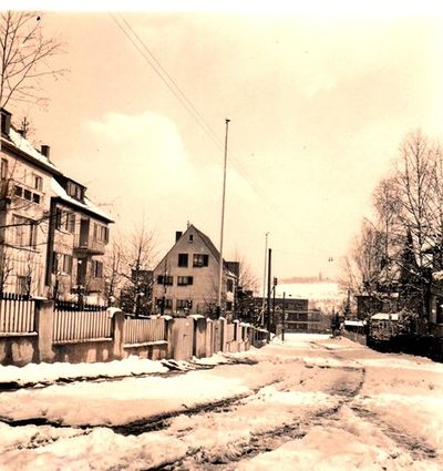 Hallstattstraße im Winter.jpg