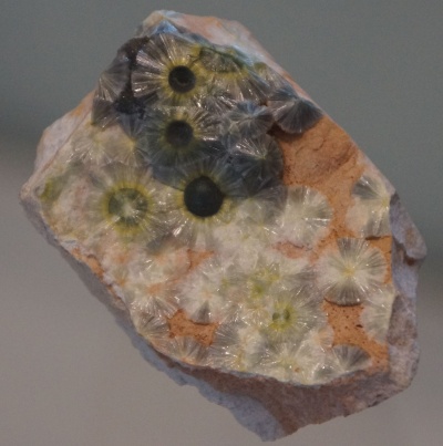 Wavellit in der Mineralogischen Sammlung Tübingen.JPG