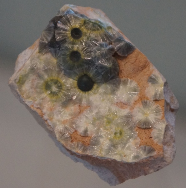 Datei:Wavellit in der Mineralogischen Sammlung Tübingen.JPG