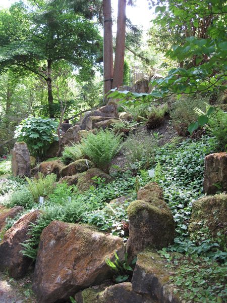 Datei:Botanischer Garten Felsengarten.jpg