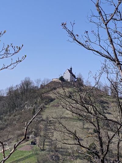Wurmlinger Kapelle von Osten April 2020.jpg