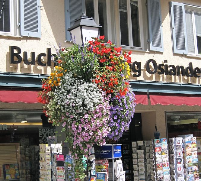 Datei:Holzmarkt Blumenschmuck 29.jpg