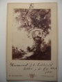 Kabinettfoto mit Collage von W. Hornung: Baum, Wappen, Wahlspruch, Schläger, Zirkel und Widmung, 1881