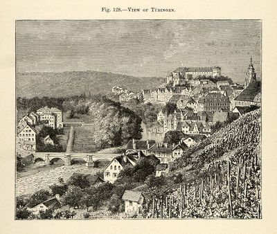 Tübingen 1882.jpg