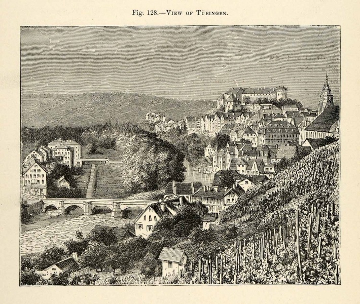 Datei:Tübingen 1882.jpg