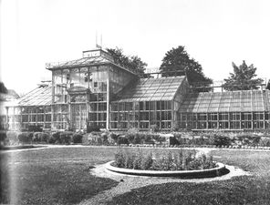 Palmenhaus im Alten Botanischen Garten, abgerissen 1970